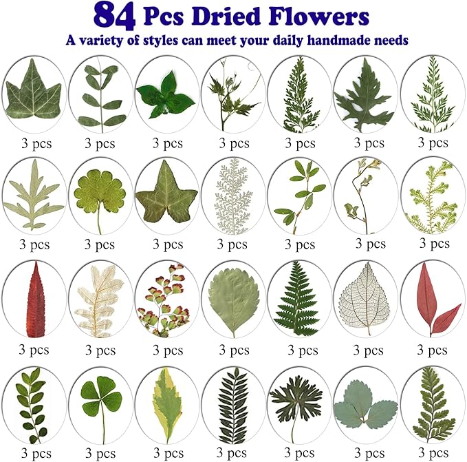 84 Pcs Dried Leaves Pressed Flowers for Resin Molds, Real Natural Assorted Dry Greenery for Leaf Craft DIY, Jewelry Making, Decoration Supplies, Soap and Candle Making