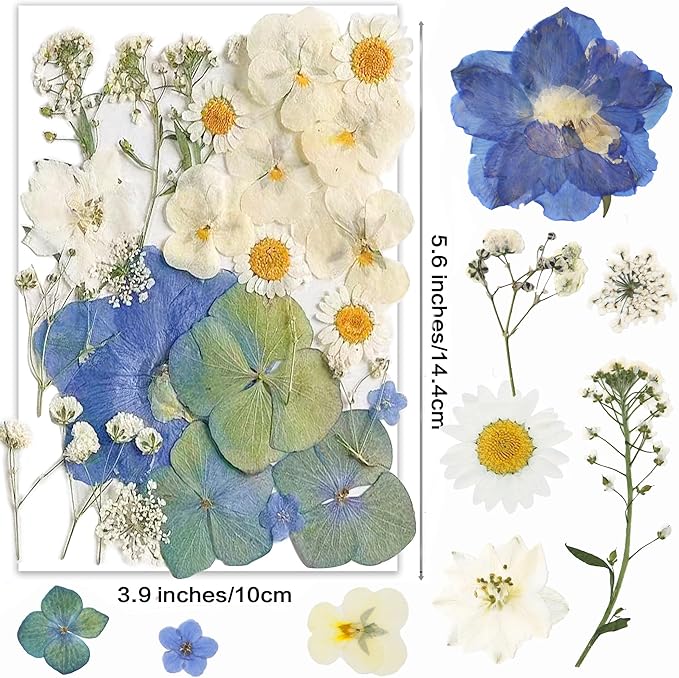 26pcs Dried Pressed Flowers for Resin Molds,YouthBro Real Natural Pressed Flowers for DIY Art Crafts,Candle Making, Nails Décor,Soap Making, Phone Case