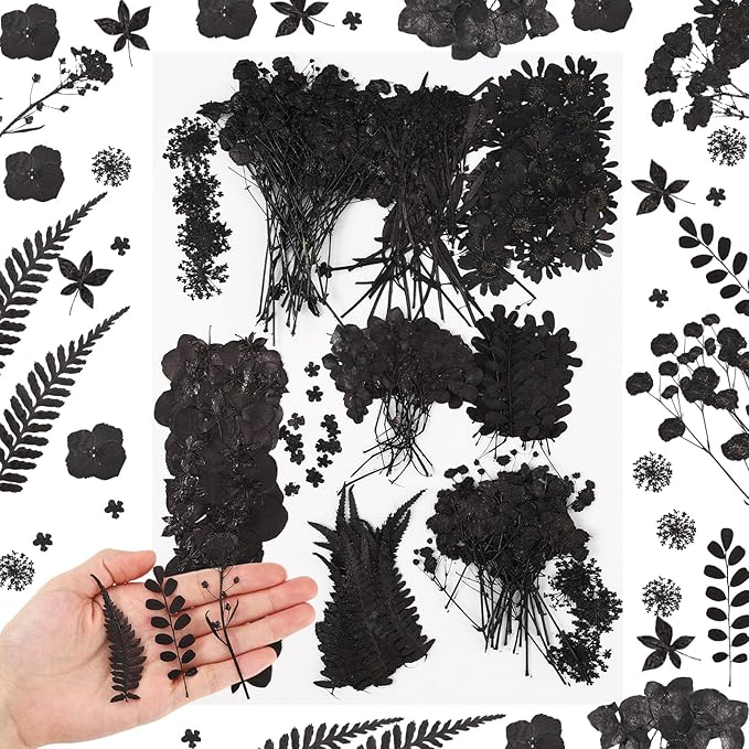 Fabbay 200 Pcs Dried Pressed Flowers Real Dry Natural Flower Leaf Dried Flowers for Resin Pressed Flower Kit for Plant Herbarium Scrapbooking DIY Candle Crafts (Black)
