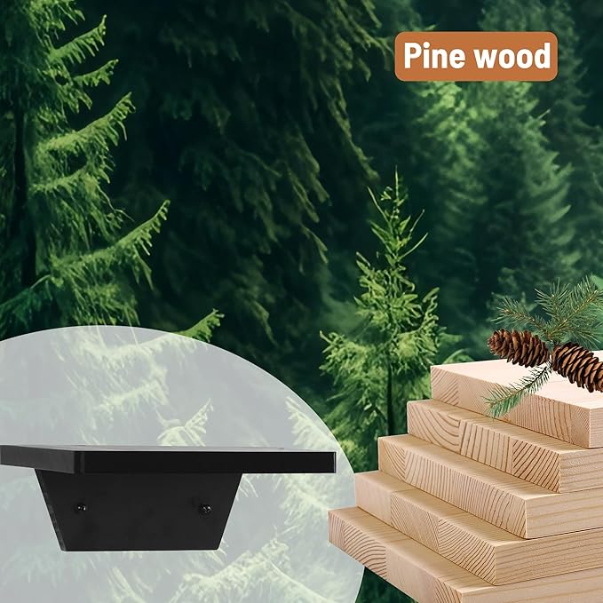 PHOENANCEE Small Floating Shelves,Speaker Shelf,Trapezoid Wall Shelf for Table Lamp Plants Display,Decorative Wood Ledges Chic for Living Room,Bedroom,Kitchen,Office,Pine,8x6 Inch,4 Pack(Black)