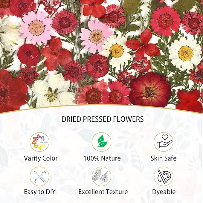 DALARAN 100pcs Red Natural Dried Flowers and Leaves Compressed Dried Flowers for Resin Vacuum Packed DIY for Epoxy Jewelry Candles Soap Nail Production