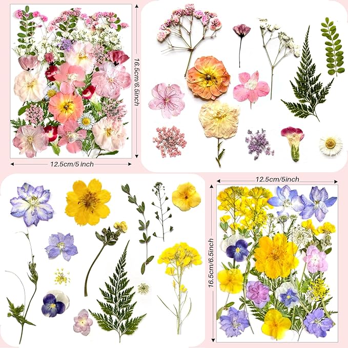 65Pcs Pressed Flowers for Resin Real Bulk Dried Flowers Leaves for Mold Scrapbooking DIY Art Crafts, Epoxy Resin Jewelry Molds, Candle, Soap Making (Pink, Purple, Yellow)