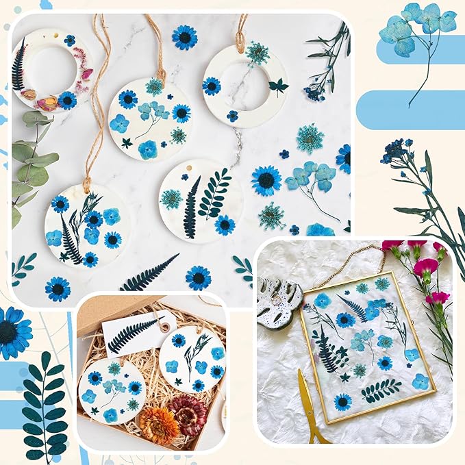 Fabbay 200 Pcs Dried Pressed Flowers Real Dry Natural Flower Leaf Dried Flowers for Resin Pressed Flower Kit for Plant Herbarium Scrapbooking DIY Candle Crafts (Blue)
