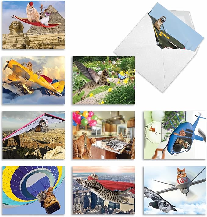 The Best Card Company - 10 Adorable Blank Cat Cards (4 x 5.12 Inch) - Cute Pet Kittens, Assorted Bulk Notecard Set - Flying Felines M6450OCB