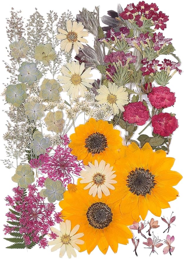 12“ Large Fall Dried Pressed Flowers for Art Crafts, Real Dry Natural Flower Leaf Fruit Bulk for Resin Mold, Cake Decor, Glass Frame (Autumn Sunflower)