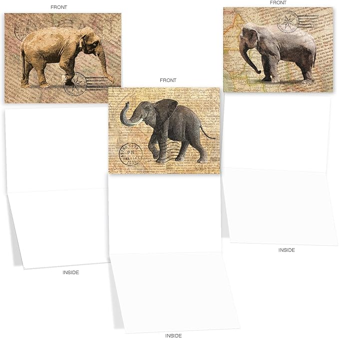 The Best Card Company - 10 Blank Animal Cards Boxed (4 x 5.12 Inch) - Assorted Pets, Zoo, Wildlife Cards for Kids - Trunk Mail M9636OCB