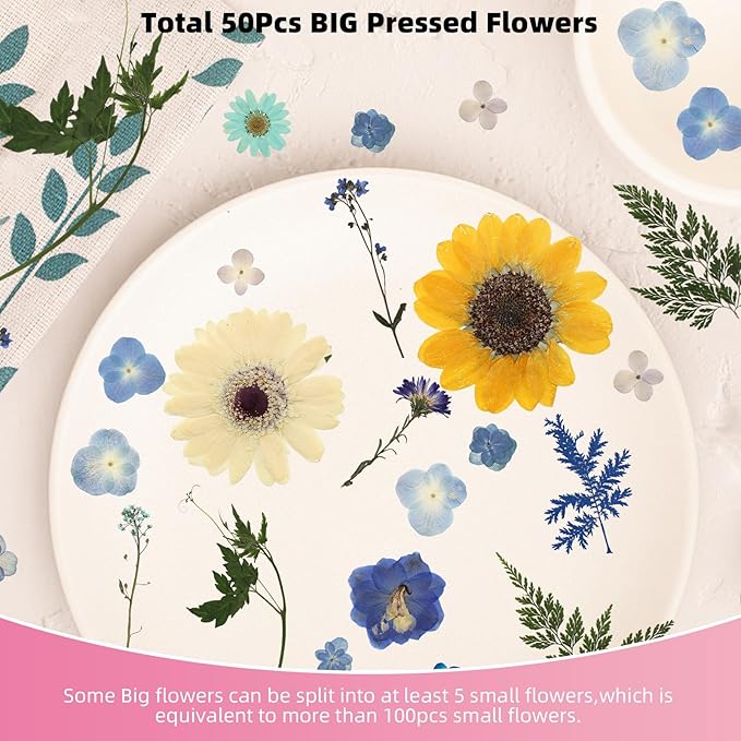 12“ Large Bulk Summer Dried Pressed Flowers for Glass Frame, Real Dry Natural Flower Leaf Daisy for Resin Mold, Cake Decor, Phone Cases (Calm Blue)