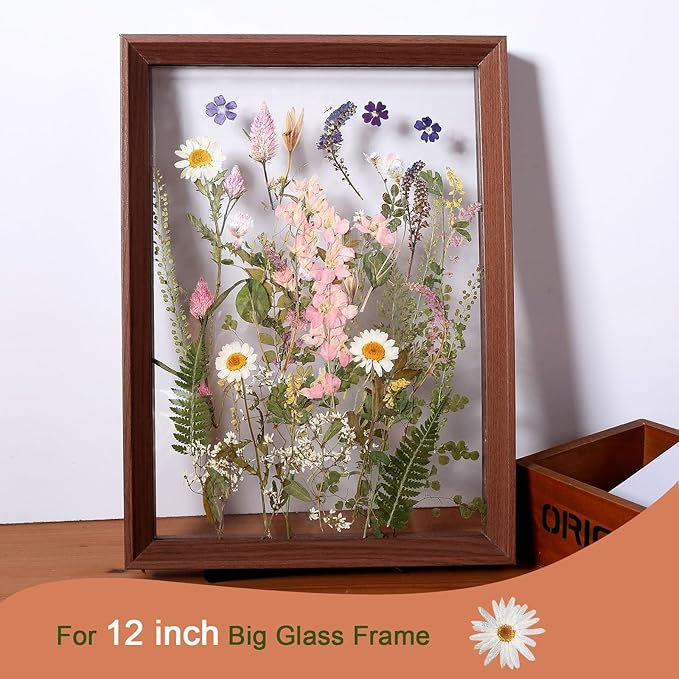 Large Dried Pressed Flowers for Art Crafts, Real Dry Natural Flower Leaf Fruit Bulk for Resin Mold, Cake Decor, Glass Frame (Spring Garden)