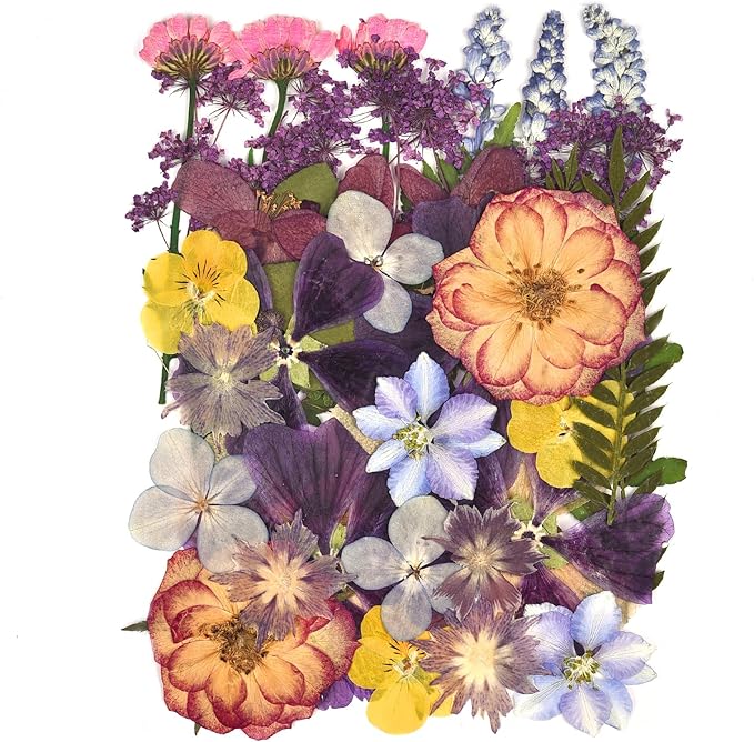 DALARAN 40 pcs Purple Flowers for Resin Model Real Dried Pressed Flowers Dry Leaves Bulk Natural Herbs Kit for Scrapbooking DIY Art Crafts, Epoxy Jewelry, Candle, Soap Making, Nails Decor