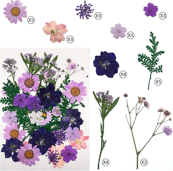 Cinvo 90 Pcs Real Dried Pressed Flowers and Leaves Natural Dried Petals for Candle Resin Jewelry Soap Nail Pendant Phone Case Crafts Making Floral Decors Scrapbooking DIY(Blue, Purple, Pink, Green)