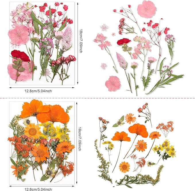 Nuanchu Dried Flower for Crafts Resin Pressed Flowers Bulk, Real Dried Wildflowers Leave Natural with Tweezer for Resin Mold Scrapbooking Nail Soap Candle Cake Card Making Christmas Craft DIY Supplies