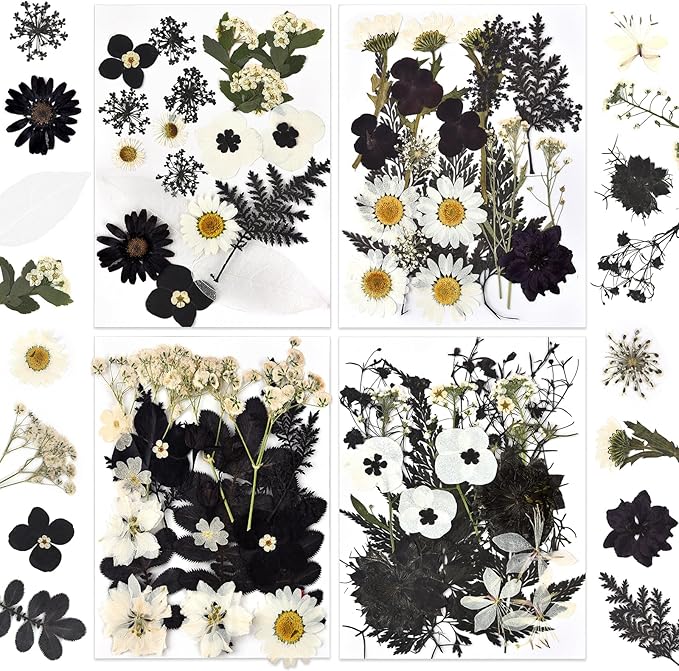 DALARAN Black Dried Pressed Flowers for Resin Molds, Bulk Real Natural Dry Floral for DIY Art Crafts, Epoxy Jewelry, Candle, Nails Decor, Phone Case,Soap Making