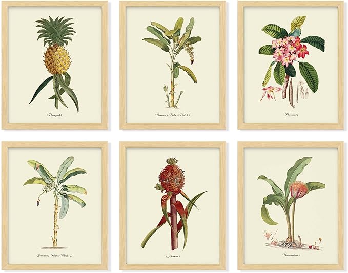 97 DECOR Vintage Tropical Botanical Wall Art - Tropical Plants Prints, Tropicals Wall Decor, Hawaiian Botanical Posters, Pineapple Pictures Banana Palm Tree Painting for Home Decoration (8x10 UNFRAMED)