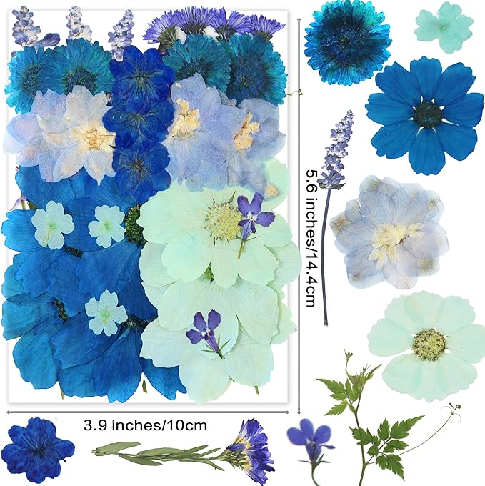 10 Types 33PCS Large Blue Dried Pressed Flower for Crafts, Large Big Real Nature Dry Pressed Flowers for Resin Molds Candle Making Phone Cases DIY Art Crafts Jewelry Making