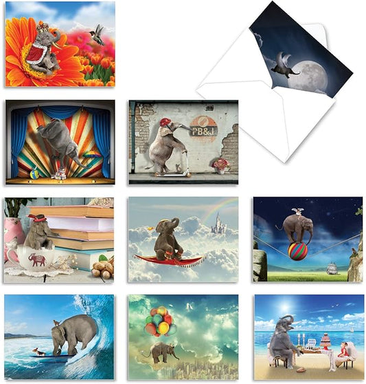 The Best Card Company - 10 Blank Animal Cards Boxed (4 x 5.12 Inch) - Assorted Pets, Zoo, Wildlife Cards for Kids - Elefantasy M6579OCB