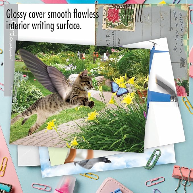 The Best Card Company - 10 Adorable Blank Cat Cards (4 x 5.12 Inch) - Cute Pet Kittens, Assorted Bulk Notecard Set - Flying Felines M6450OCB