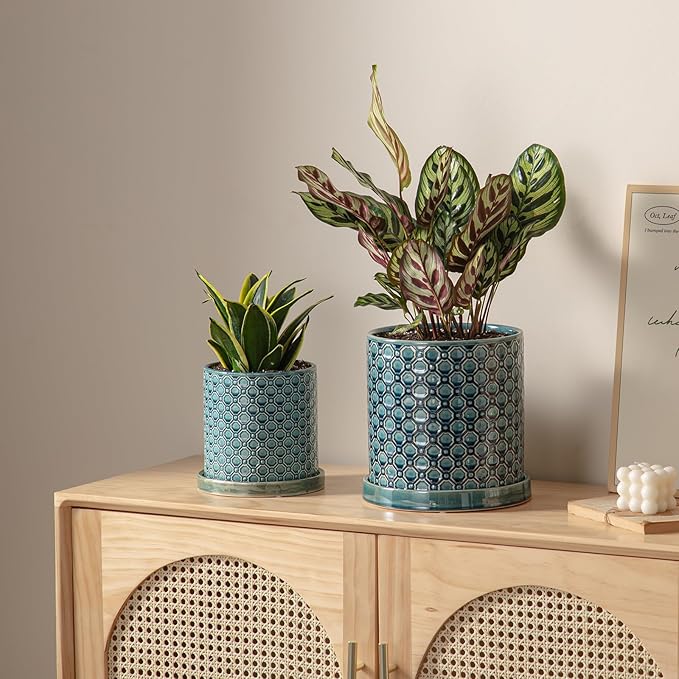 6 Inch Plant Pot: Ceramic Planter with Drainage Hole & Saucer Indoor Outdoor Plants - Cylinder Round Flower Pot for Home Office - Modern Decorative - Small Blue