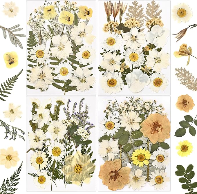 DALARAN 85Pcs White Dried Pressed Flowers for Resin Molds Real Pressed Flowers Dry Leaves Kit for Art Crafts Resin Jewelry Making Scrapbook Supplies Card Making Soap Candle DIY