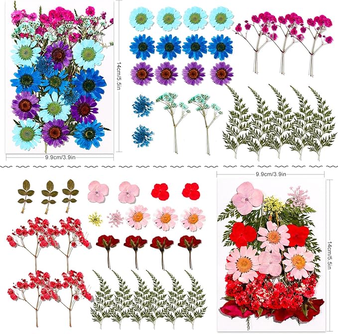 Natural Pressed Dried Flowers | Perfect for Resin Crafting, Art Projects, Scrapbooking, Nail Art, and Home Decor | Premium Preserved Petals & Leaves