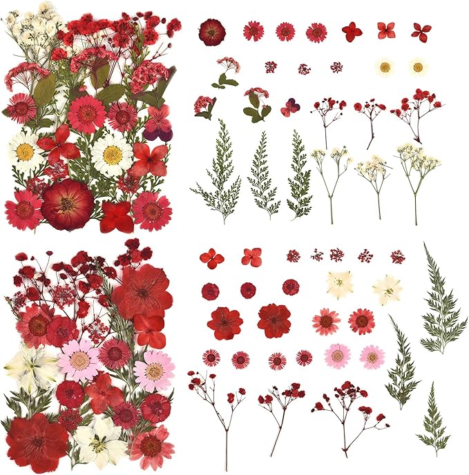 DALARAN 100pcs Red Natural Dried Flowers and Leaves Compressed Dried Flowers for Resin Vacuum Packed DIY for Epoxy Jewelry Candles Soap Nail Production
