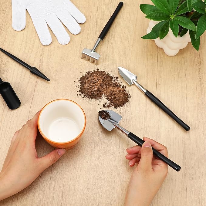 12 Pcs Succulent Tools Mini Transplanting Garden Tool Set Succulent Care kit Plant Accessories for Indoor Gardening Flower Potting Cactus Houseplant Bonsai Care