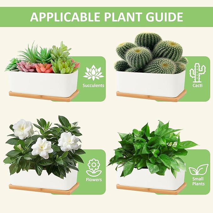 2 PCS Succulent Pot Cactus Containers White Ceramic Planter with Drainage Hole and Removable Tray Small Plant Pots for Home Office Decor Bonsai Container for Indoor Outdoor Plants (Rectangle)