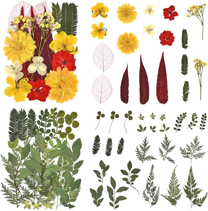 DALARAN 75 PCS Fall Natural Dried Flower for Soap Making, Candle Making and Resin Jewelry Making Pressed Flower Art Floral Decors