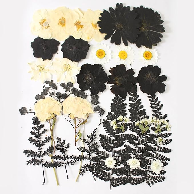 Large Black Dried Pressed Flower for Crafts,Large Big Real Nature Dry Pressed Flowers for Resin Molds Candle Making Phone Cases DIY Art Crafts Jewelry Making