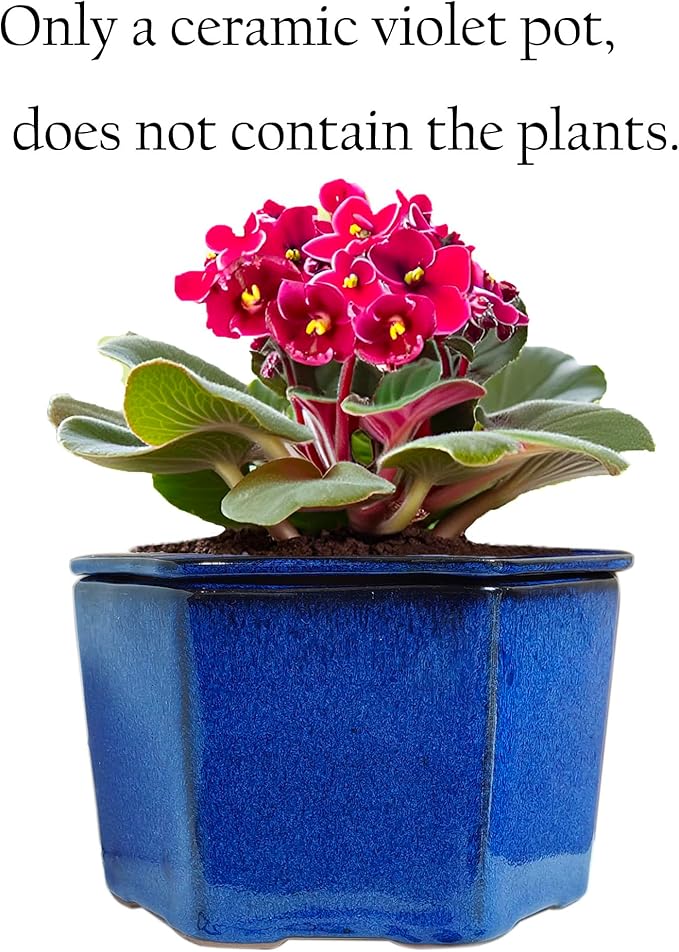 African Violet Pots 6 inch Hexagon Self-Watering Ceramic Violet Pots 4.50'' Opening (Blue)