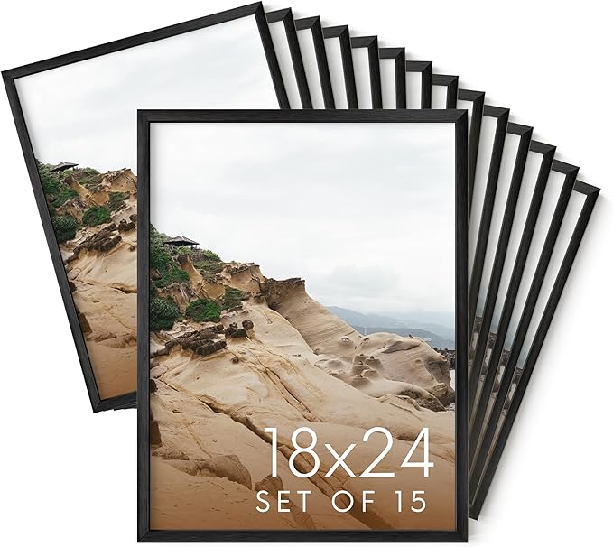 HAUS AND HUES 18x24 Black Metal Picture Frames - Features Premium Aluminum, Vertical & Horizontal Hang, Shatterproof Plexiglass - Ideal for Home, Room, Office (18x24 in, Black, Set of 15)