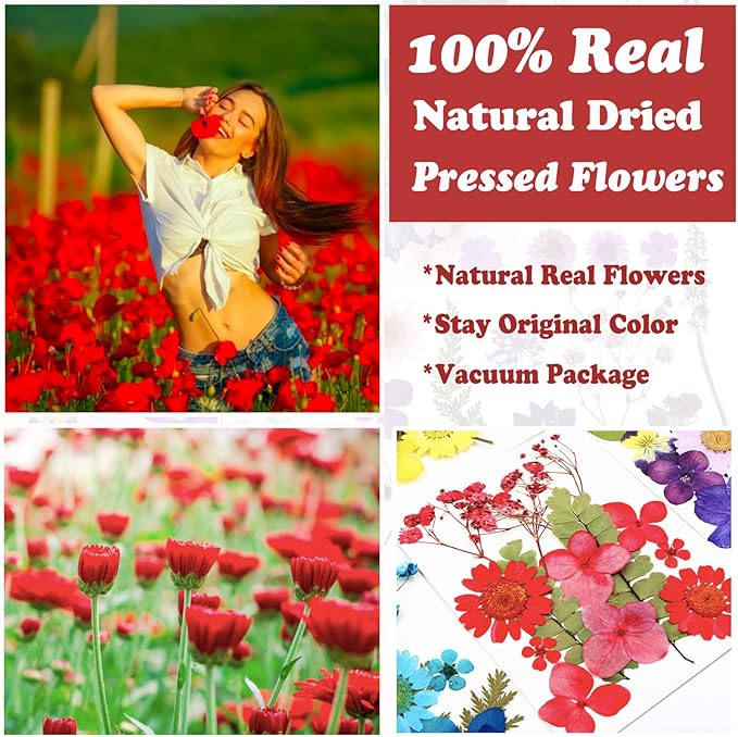 75 Pcs Red Dried Flowers Real Natural Pressed Leave Petals for DIY Resin Candle Jewelry Nail Pendant Crafts