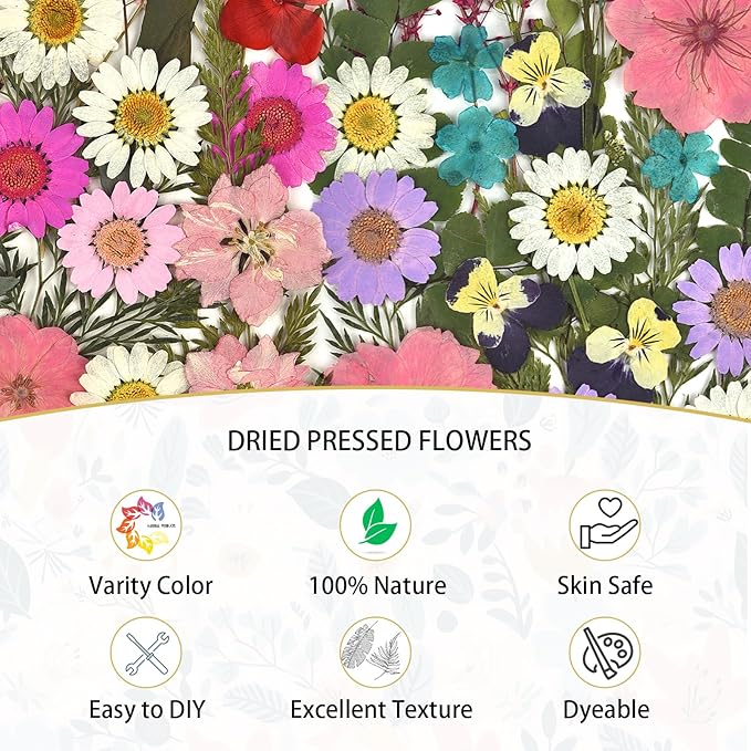 DALARAN Dried Flowers for Resin 100pcs Natural Flowers and Leaves Compressed Vacuum Packed DIY Pressed Flowers for Epoxy Jewelry Candles Soap Nail Production