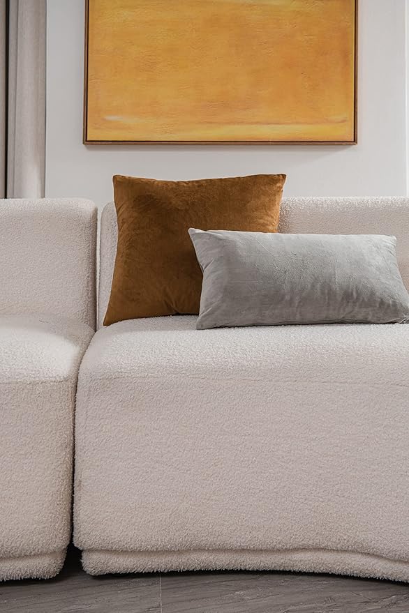 Throw Pillow Cases 18x18 Golden Brown: 2 Pack Cozy Soft Velvet Square Decorative Pillow Covers for Farmhouse Home Decor