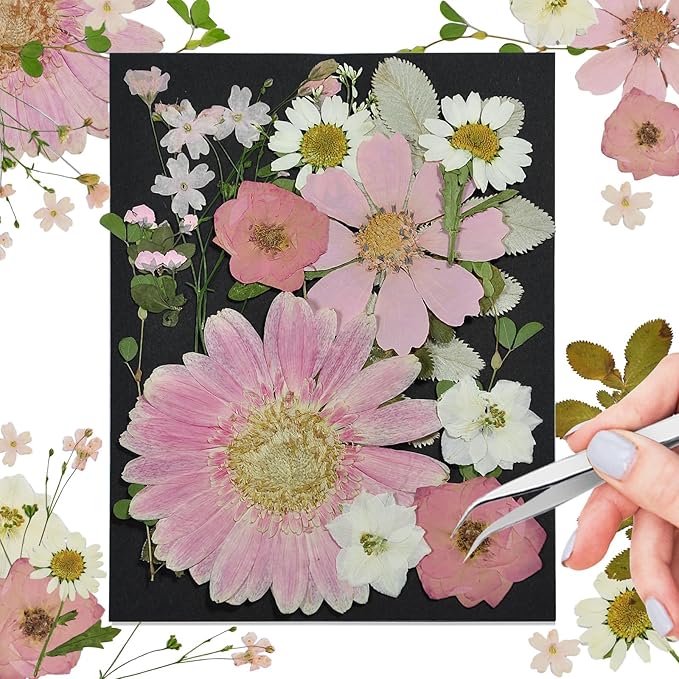 CONVELIFE Pink Dried Pressed Flowers, Real Nature Flowers with Tweezers, Pressed Flowers for Resin DIY Jewelry Candle Soap Vase Making Nail Card Scrapbook Art Craft Floral Decors