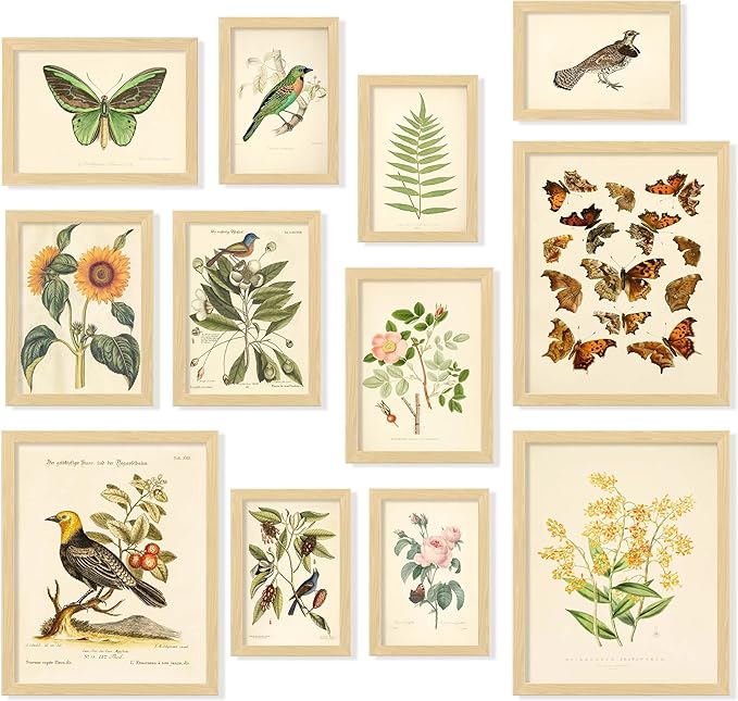97 Decor FRAMED Vintage Botanical Prints Wall Art - Botanical Plant Poster, Butterfly Pictures Bird Art Sunflower Fern Prints, Flower Botanical Painting for Home Bedroom Decorations (BEIGE FRAME)
