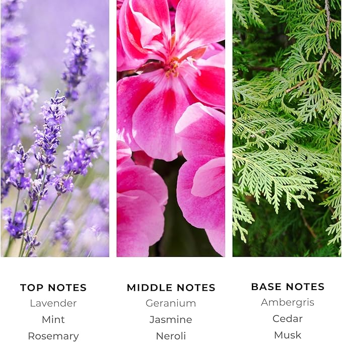 Brilliant Scents Cool Waters Fragrance Oil 500ml - Premium Diffuser Oil for Home, Office, Hotels - Long Lasting, Plant-Based, Meets IFRA Standards, USA-Made - Mint, Lavender, Tobacco