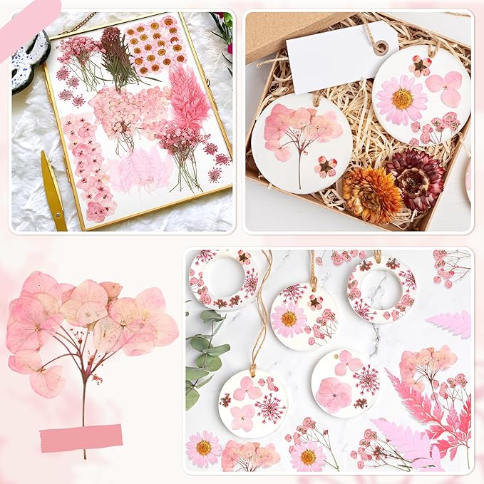 Fabbay 200 Pcs Dried Pressed Flowers Real Dry Natural Flower Leaf Dried Flowers for Resin Pressed Flower Kit for Plant Herbarium Scrapbooking DIY Candle Crafts (Pink)