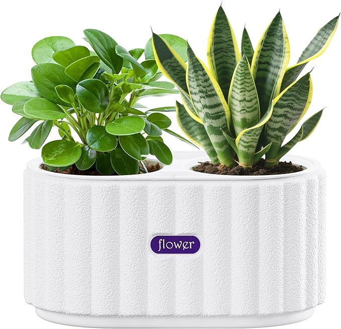 HOSUN 4 Inch Dual Compartment Self Watering Planter - Indoor Plastic Plant Pot with Drainage Holes, Reservoir & Wicking Rope, Low Maintenance Modern Flower Pot for Succulents/Aloe Vera (White)