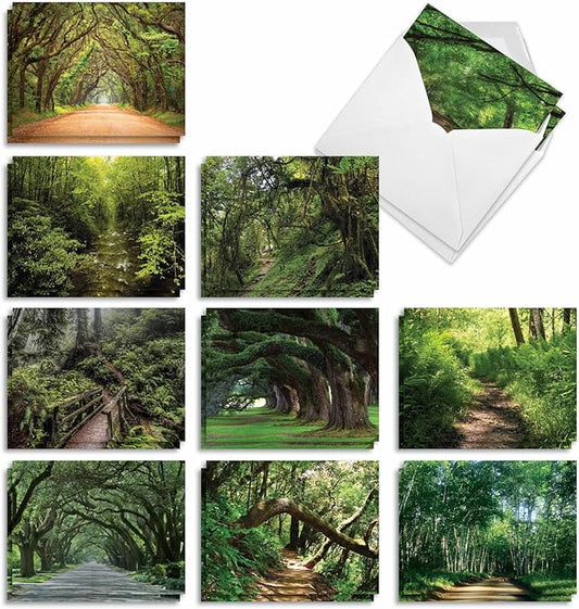 The Best Card Company - 20 Landscape Nature Note Cards Blank (4 x 5.12 Inch) (10 Designs, 2 Each) - Nature Trails AM6467OCB-B2x10