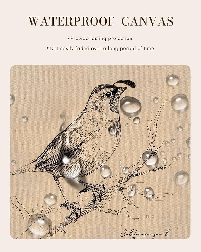 Bzstyleart Vintage Wall Art Decor for Living Room,California State Bird Vintage Gold Framed Wall Art,Sketch Painting Picture,Room Decor Aesthetic,Canvas Prints for Apartment Decor Office,12L x 16W