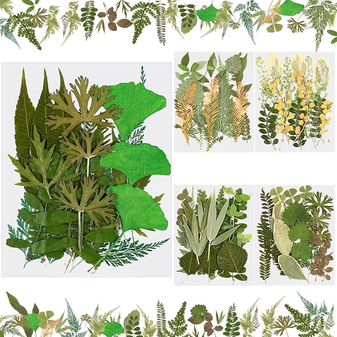 Nuanchu 99 Pieces Assorted Pressed Leaves for Crafts Real Dried Leaves for Resin Plant Herbarium Flowers for Art Craft DIY Jewelry Decoration Handmade Bookmarks, 5 Bags (Stylish Style)