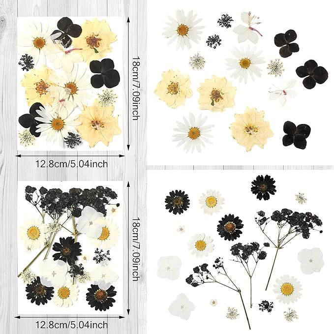 Nuanchu Black Dried Pressed Flowers for Crafts Gothic Dried Flowers Bulk Natural Pressed Wildflowers with Tweezer for Resin Mold Scrapbooking Nail Soap Candle Making DIY Scrapbook Halloween Supplies