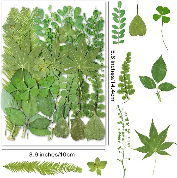 30PCS Green Dried Pressed Leaf Leaves, YouthBro Greenery Real Nature Plant Herbarium Set for DIY Jewelry Candle Scrapbook Art Craft Decors,Green