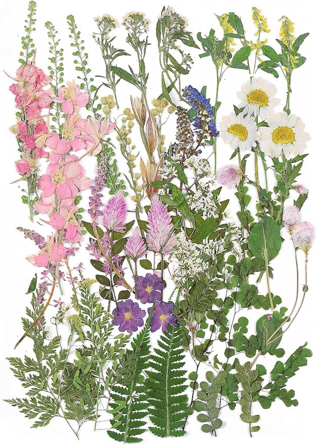 Large Dried Pressed Flowers for Art Crafts, Real Dry Natural Flower Leaf Fruit Bulk for Resin Mold, Cake Decor, Glass Frame (Spring Garden)