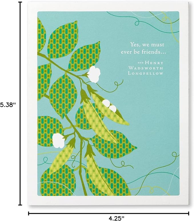 Compendium Positively Green 4-Pack of Friendship Cards – Perfect Pairs (Four Different Designs, One Card Each, with Envelopes)