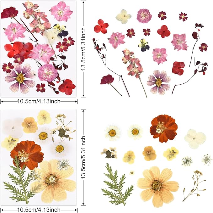 DALARAN 75Pcs Purple Dried Flowers for Resin Molds Real Pressed Flowers Dry Leaves Kit for Art Crafts Resin Jewelry Making Scrapbook Supplies Card Making Soap Candle DIY