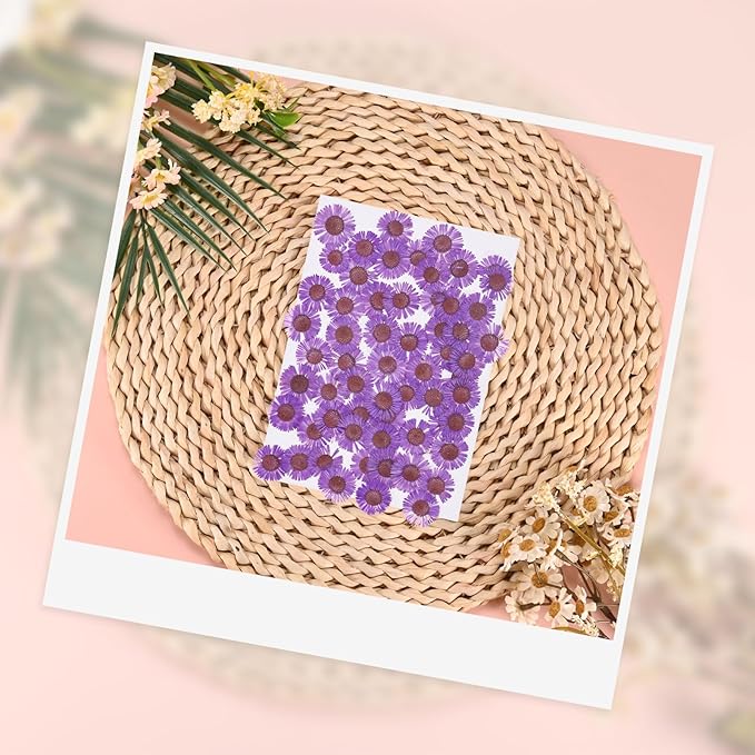 12-Pack Dried Pressed Flowers for Resin, Real Natural Bulk Dry Floral for Crafts/DIY Jewelry/Soap Making/Scrapbooking/Candle/Epoxy Resin Supplies [Dark Purple]