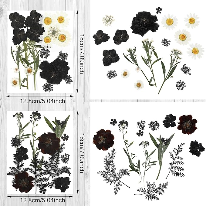 Nuanchu Black Dried Pressed Flowers for Crafts Gothic Dried Flowers Bulk Natural Pressed Wildflowers with Tweezer for Resin Mold Scrapbooking Nail Soap Candle Making DIY Scrapbook Halloween Supplies