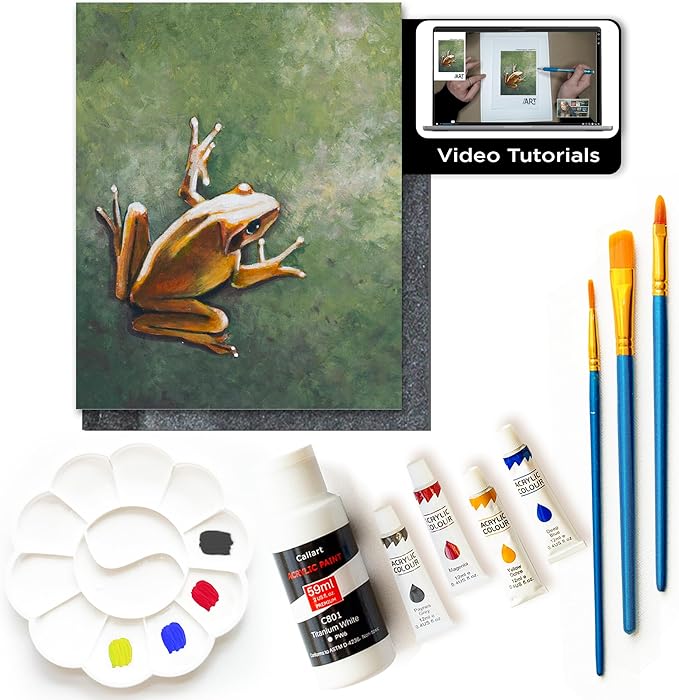 Painting4Real DIY Painting Class Kit for Adults with Video Tutorials: Learn to Paint Tree Frog – How to Paint with Acrylics – Painting & Art Supplies – 9 Piece Acrylic Paint Set