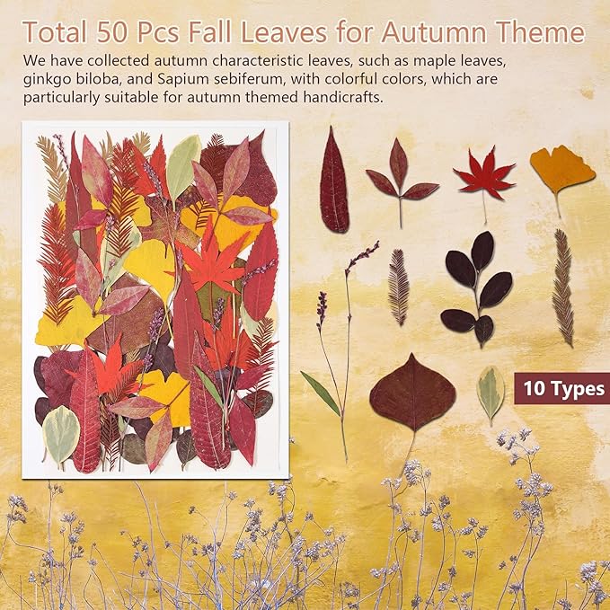 Large Bulk Fall Dried Pressed Leaves for Craft, Real Dry Natural Flower Leaf Daisy for Resin Mold, Cake Decor, Phone Cases (Autumn Leaves)